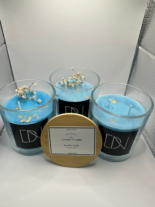 Blue Coconut and Vanilla candle